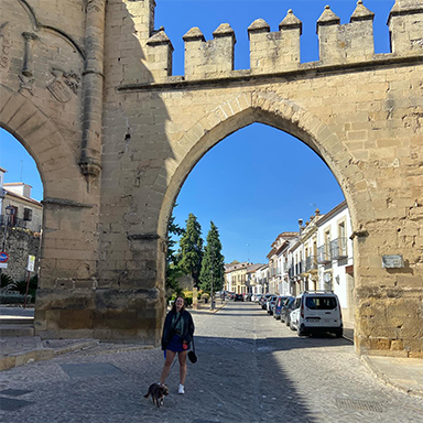 viaje Jaen